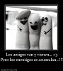 Marii13