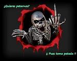 pitox4