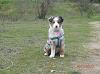 LoreMaya