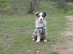 LoreMaya