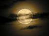 LUNA_