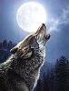 CoNdEsA_LUNAL