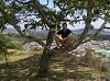 Karlo_D_rOYAL