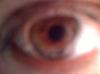xarli_