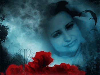 carmen240779